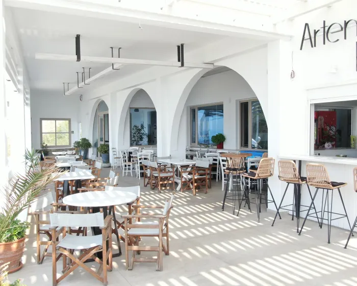 Artemis Mykonos