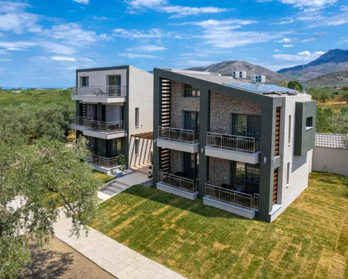 The Olive Land Thassos