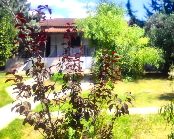 Vergia Studios Kalikratia