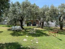 Vila Mary 2 Skala Sotiros Tasos