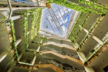 Orchidea SPA Boutique