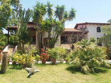 Baha Ammes Svoronata