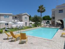 Artemisia Santo Spirito