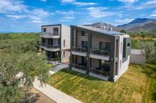 The Olive Land Thassos