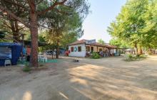 Camping Pitsoni Sykia Beach