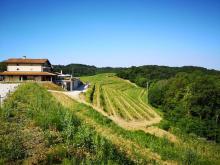 Klanjscek Wine & Stay