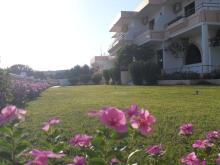 Vera Studios Faliraki