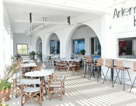 Artemis Mykonos