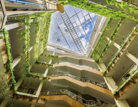 Orchidea SPA Boutique