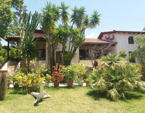 Baha Ammes Svoronata