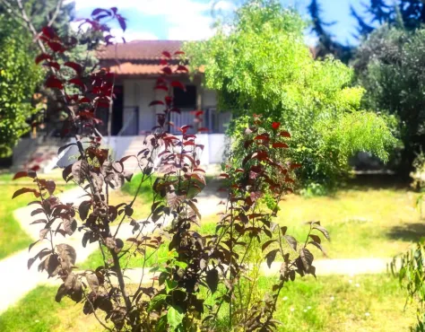 Vergia Studios Kalikratia