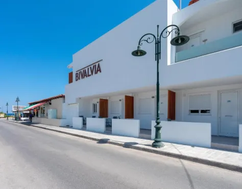 Bivalvia Beach Plus