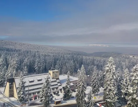 Park Hotel Ela Borovec