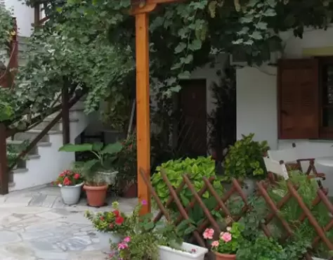 Vila Delfini Milina Pilion