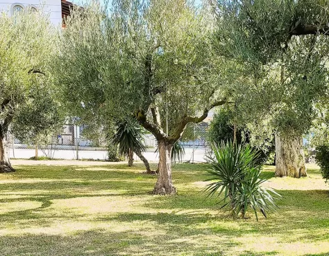 San Giorgio Skala Furka