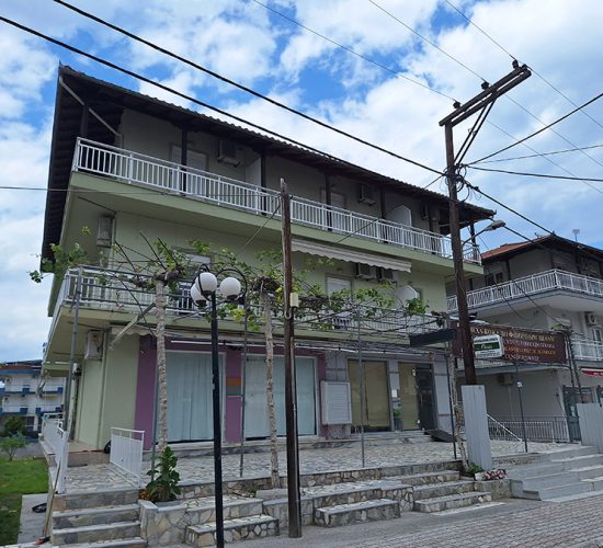 Vila Oasis-Leptokarija
