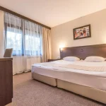 Lion Hotel 4* u Borovecu, u prelepom okruženju borove šume. Udaljen samo 1000m od ski lifta, nudi udoban smeštaj, wellness centar, restorane.